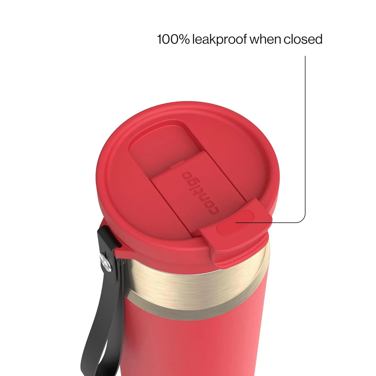 Contigo DualSip 24 oz Stainless Steel Vacuum-Insulated Water Bottle with Carry Strap & 2-in-1 Leakproof Lid (Straw or Spout), BPA-Free & Lead-Free, Dishwasher Safe