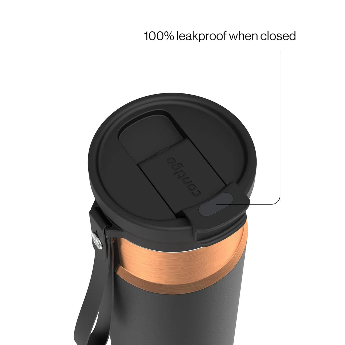 Contigo DualSip 24 oz Stainless Steel Vacuum-Insulated Water Bottle with Carry Strap & 2-in-1 Leakproof Lid (Straw or Spout), BPA-Free & Lead-Free, Dishwasher Safe
